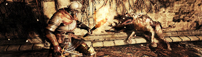 1С-СофтКлаб планирует выпустить специальное издание Dark Souls 2