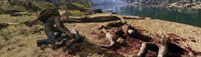 Ранняя версия DayZ замечена в реестре Steam