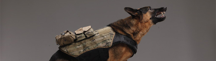 Прожорливость Call of Duty: Ghosts к ОЗУ будет с нами долго