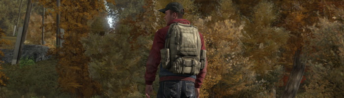 Gameplay: 10 минут DayZ от Дина Холла