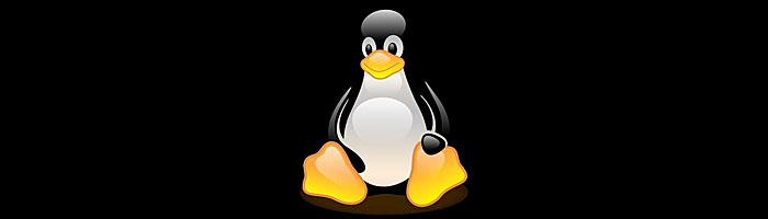 Valve присоединилась к Linux Foundation в борьбе за рынок ОС для РС.