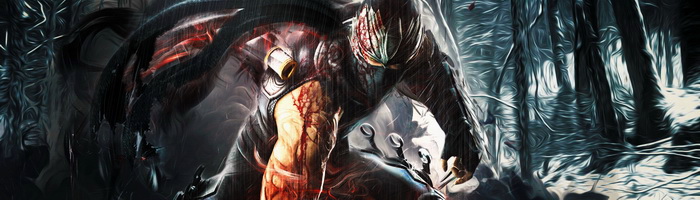 Team Ninja приступила к работе над новой Ninja Gaiden