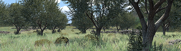 Гид по настройкам видео и графики в ArmA 3
